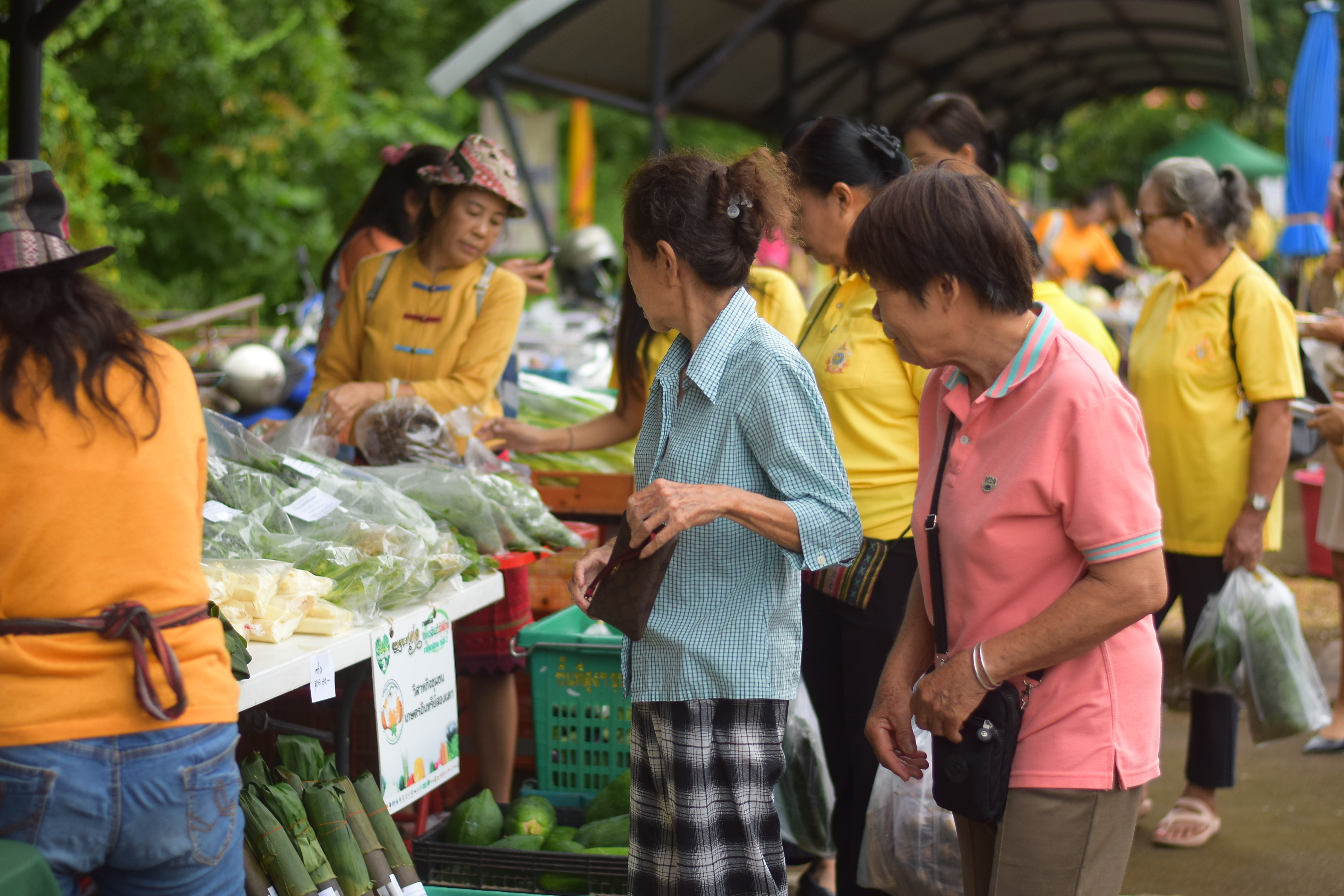 (#)สร้างสรรค์ชุมชน คนพช.น่าน(#) ผู้ว่าฯ น่าน เปิดงาน “กาดม่วนเมือง ศาลากลาง” เสริมเศรษฐกิจฐานราก ช่วยเหลือเกษตรกรและผู้ประกอบการในชุมชน