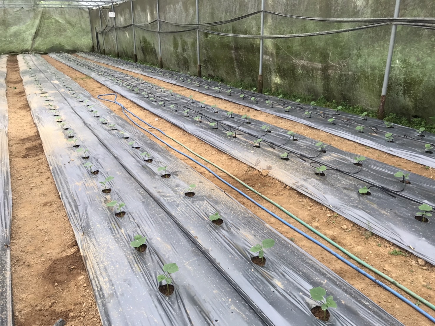 (#)สร้างสรรค์ชุมชน คนพช.น่าน(#) พช.น่าน ติดตามสนับสนุนการดำเนินงานกองทุนพัฒนาบทบาทสตรี จังหวัดน่าน