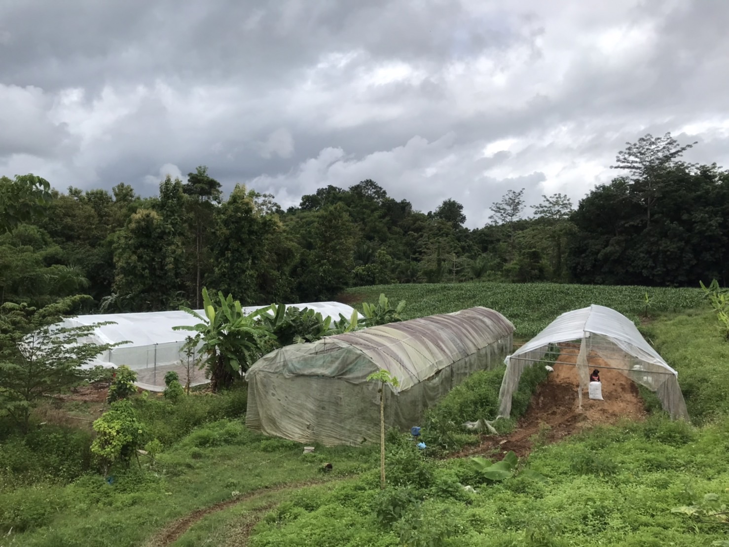 (#)สร้างสรรค์ชุมชน คนพช.น่าน(#) พช.น่าน ติดตามสนับสนุนการดำเนินงานกองทุนพัฒนาบทบาทสตรี จังหวัดน่าน