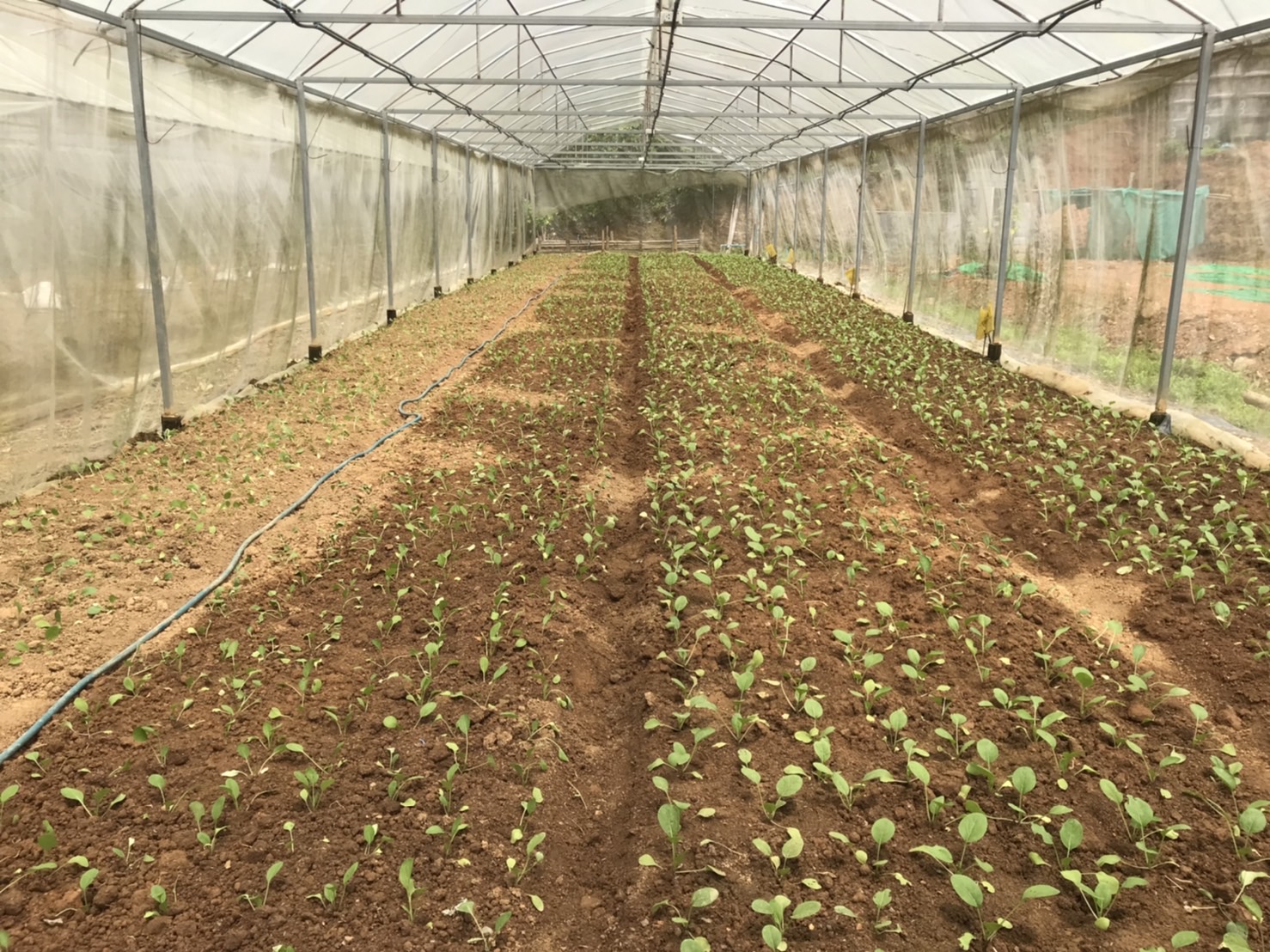 (#)สร้างสรรค์ชุมชน คนพช.น่าน(#) พช.น่าน ติดตามสนับสนุนการดำเนินงานกองทุนพัฒนาบทบาทสตรี จังหวัดน่าน