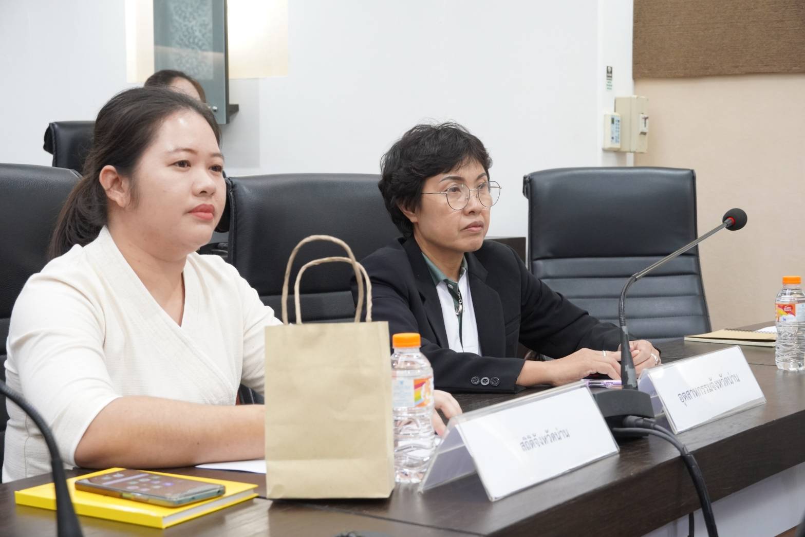 (#)สร้างสรรค์ชุมชน คนพช.น่าน(#) พช.น่าน ร่วมประชุมการจัดทำใบสมัครและรวบรวมข้อมูลเพื่อสมัครสมาชิกเครือข่ายเมืองสร้างสรรค์ด้านหัตถกรรมและศิลปะพื้นบ้านขององค์การยูเนสโก