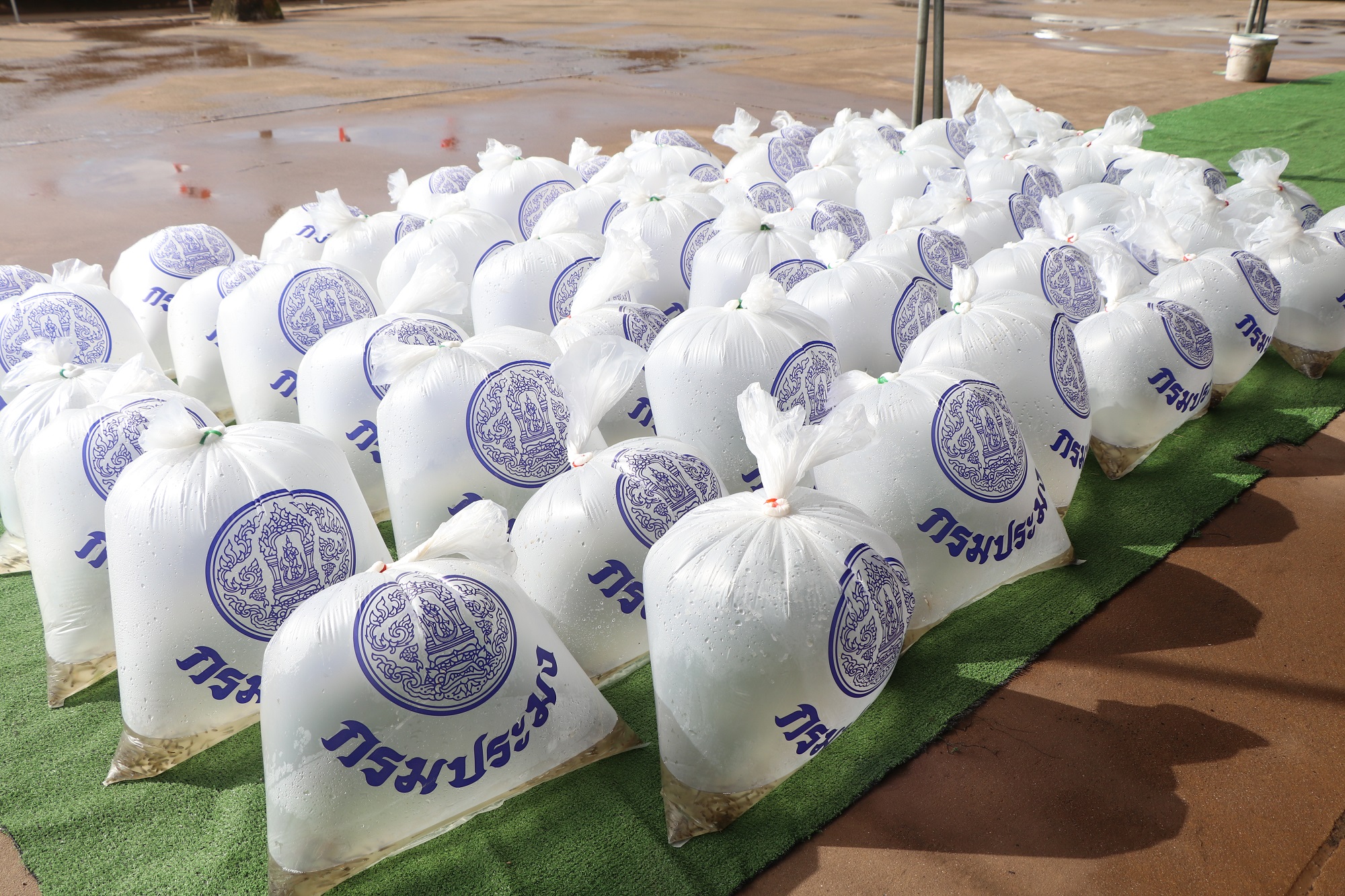 (#)สร้างสรรค์ชุมชน คนพช.น่าน(#) พช.น่าน ร่วมกิจกรรม วันประมงแห่งชาติ ประจำปี 2567