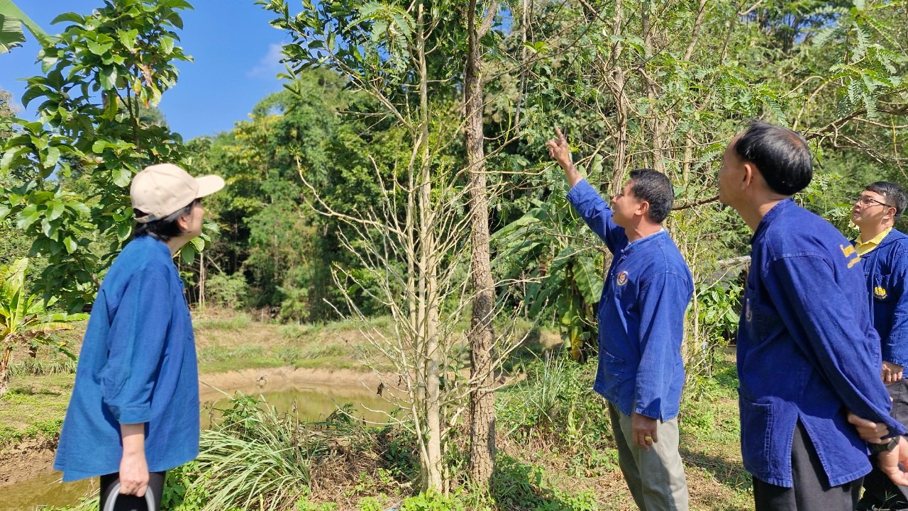 (#)สร้างสรรค์ชุมชน คนพช.น่าน(#) พช.น่าน คัดเลือกศูนย์เรียนรู้ โคก หนอง นา ต้นแบบ (Best Place)  และสุดยอดผลผลิต/ผลิตภัณฑ์ (Best Product) ระดับจังหวัด