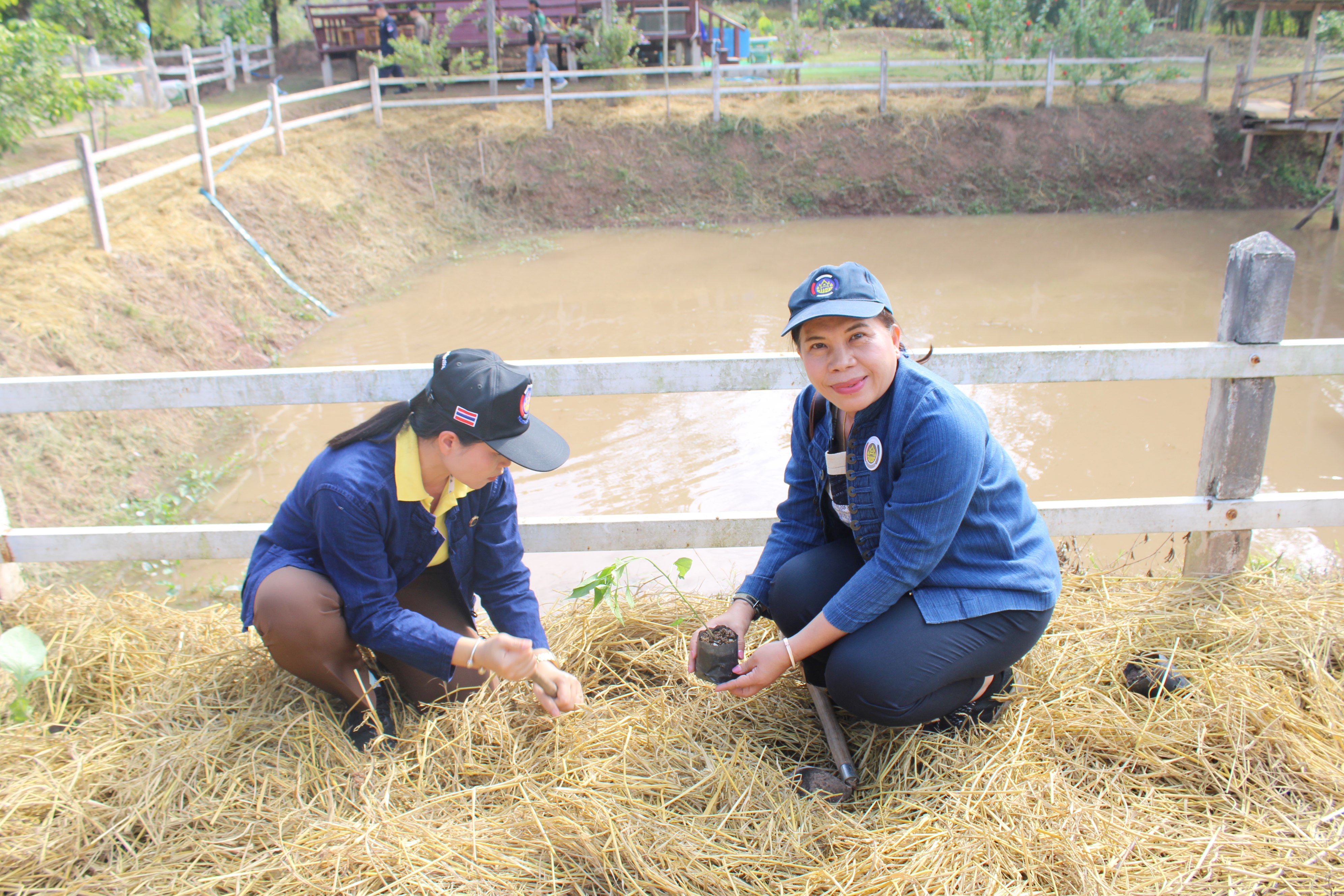 #น่านไม่เนิบ #NAN3FAST พช.น่าน จัดกิจกรรมเอามื้อสามัคคี ตามโครงการโคก หนอง นาวิถีน่าน พอเพียงสู่ความยั่งยืน ครั้งที่ 2/2568 อำเภอสันติสุข