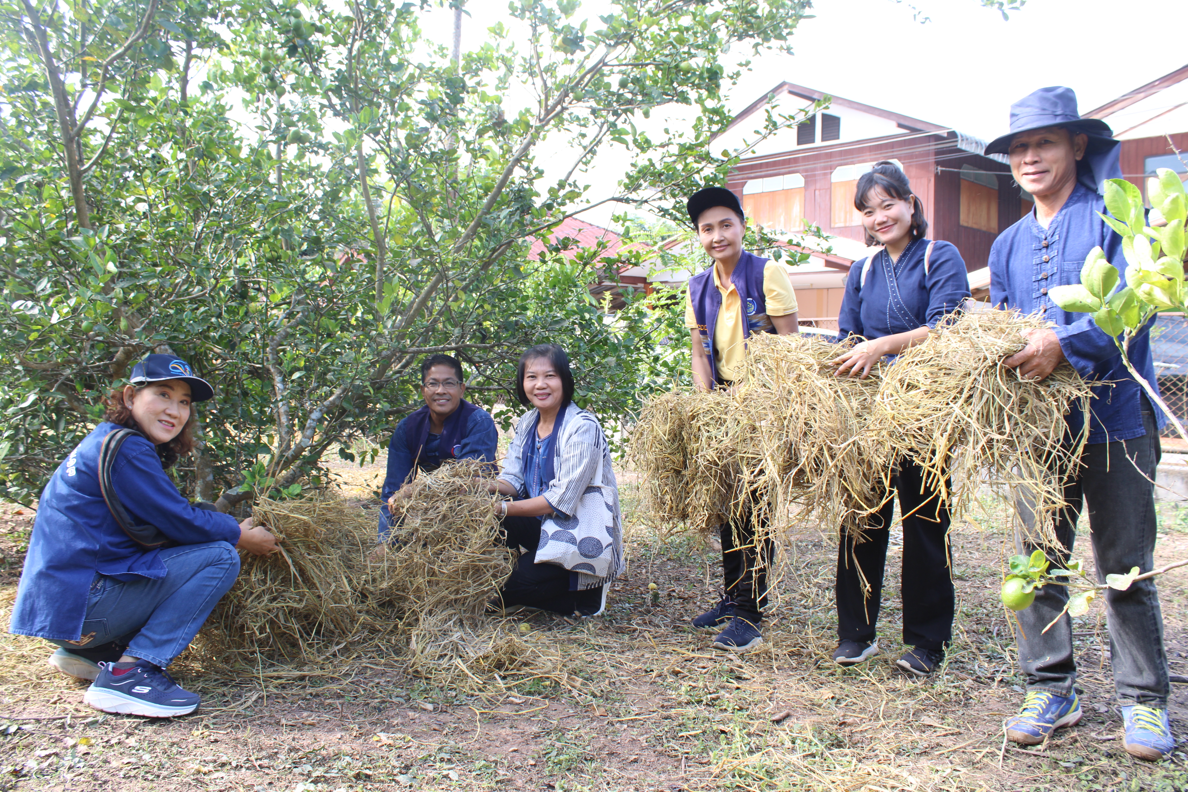 #น่านไม่เนิบ #NAN3FAST พช.น่าน จัดกิจกรรมเอามื้อสามัคคี ตามโครงการโคก หนอง นาวิถีน่าน พอเพียงสู่ความยั่งยืน ครั้งที่ 2/2568 อำเภอสันติสุข