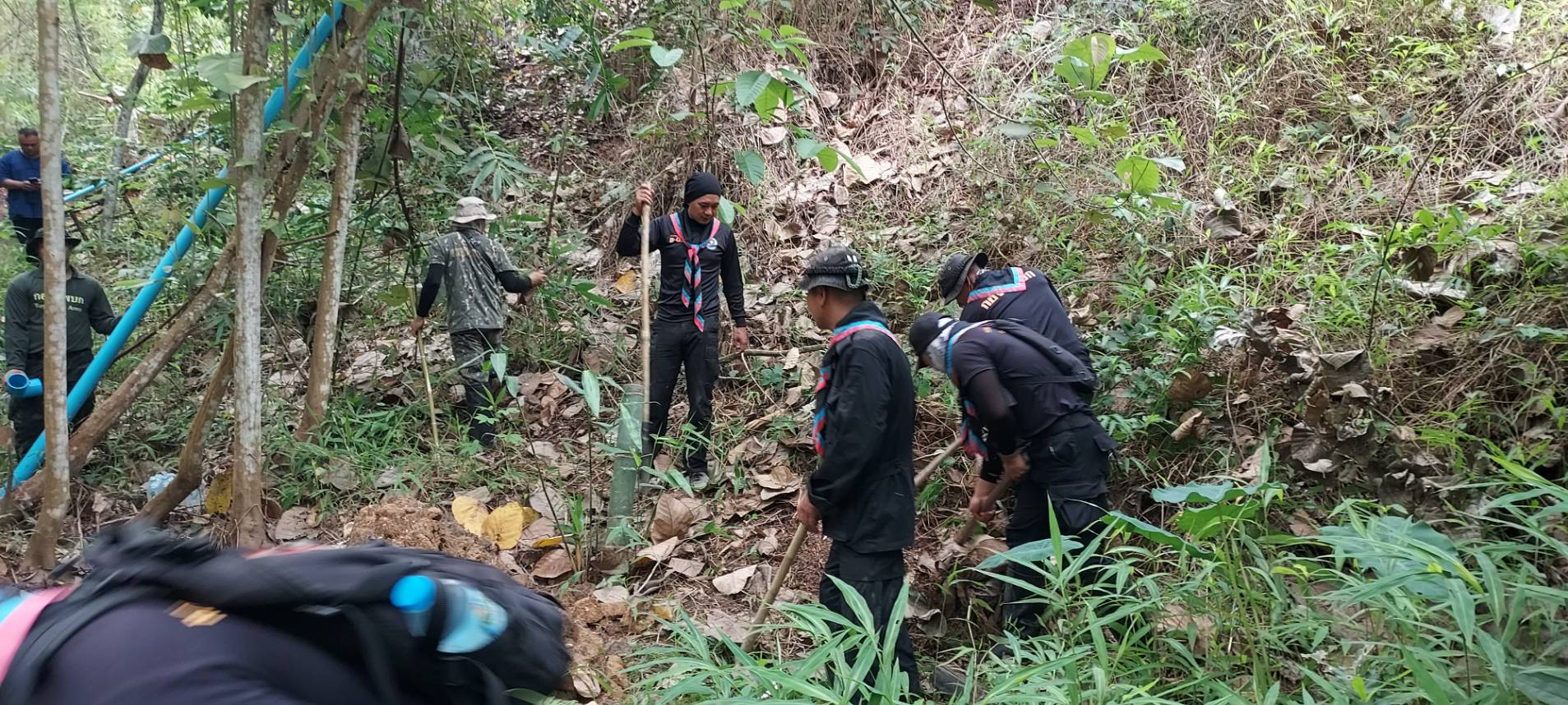 #น่านไม่เนิบ #NAN3FAST จังหวัดน่าน จัดกิจกรรมเอามื้อสามัคคี “โคก หนอง นา วิถีน่าน พอเพียงสู่ความยั่งยืน” ครั้งที่ 3/2568 ณ อำเภอทุ่งช้าง