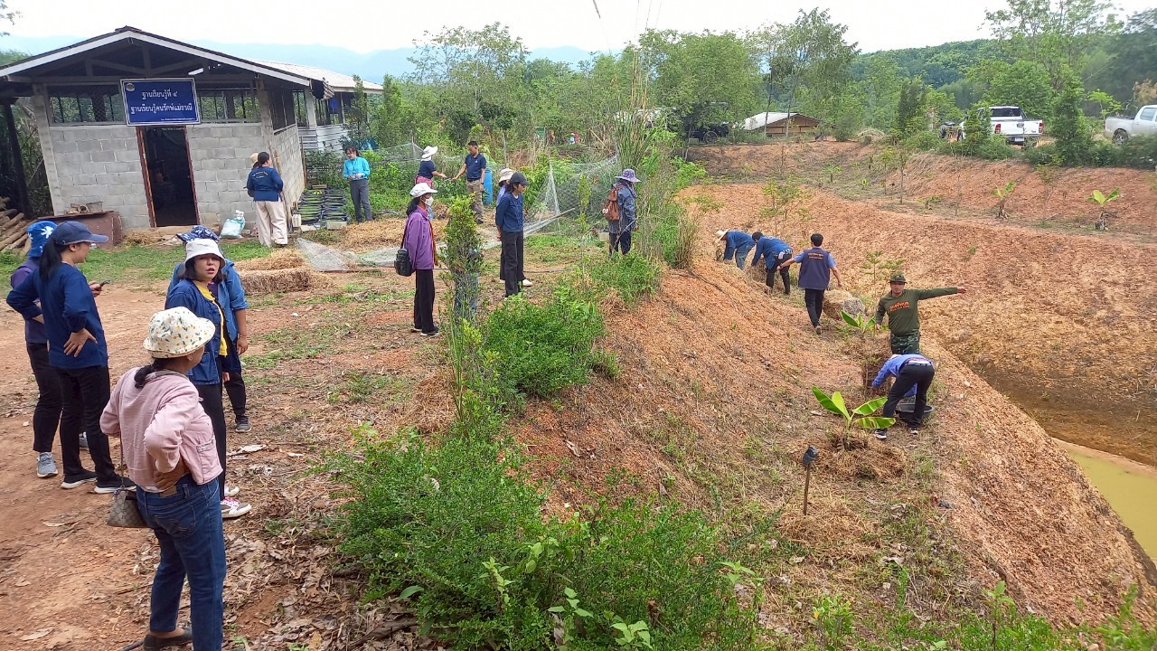 #น่านไม่เนิบ #NAN3FAST จังหวัดน่าน จัดกิจกรรมเอามื้อสามัคคี “โคก หนอง นา วิถีน่าน พอเพียงสู่ความยั่งยืน” ครั้งที่ 3/2568 ณ อำเภอทุ่งช้าง