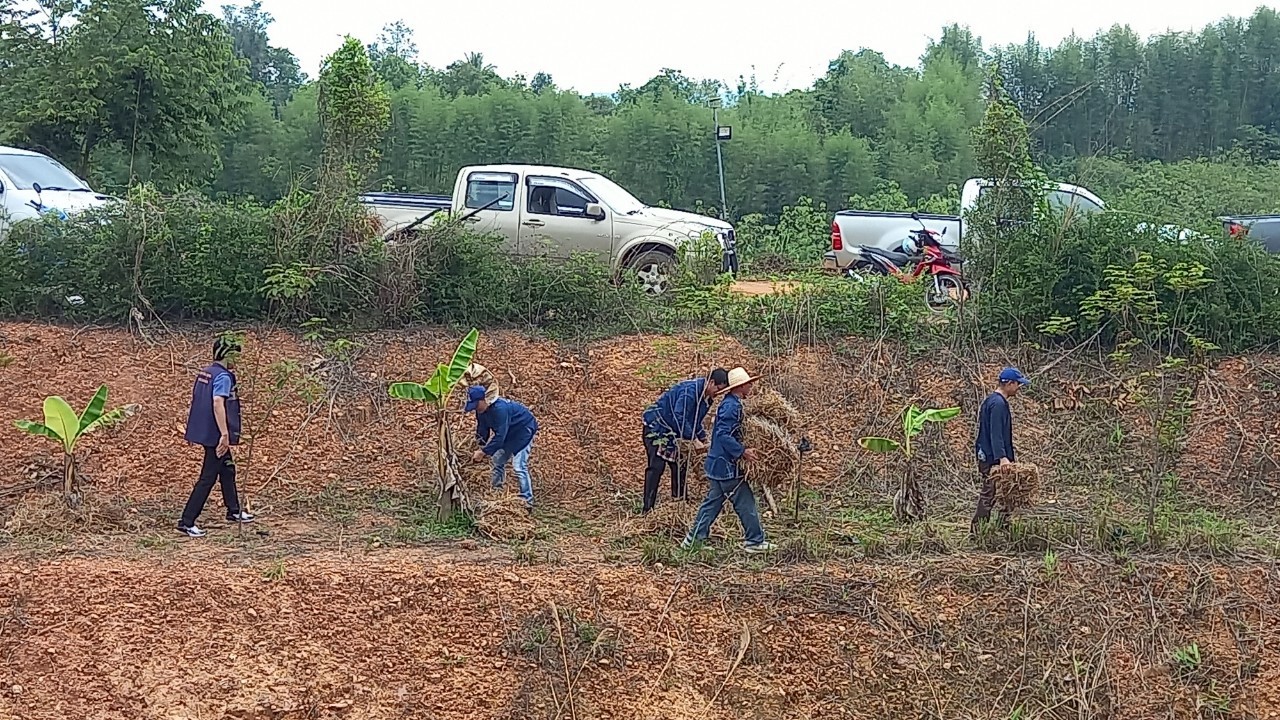 #น่านไม่เนิบ #NAN3FAST จังหวัดน่าน จัดกิจกรรมเอามื้อสามัคคี “โคก หนอง นา วิถีน่าน พอเพียงสู่ความยั่งยืน” ครั้งที่ 3/2568 ณ อำเภอทุ่งช้าง