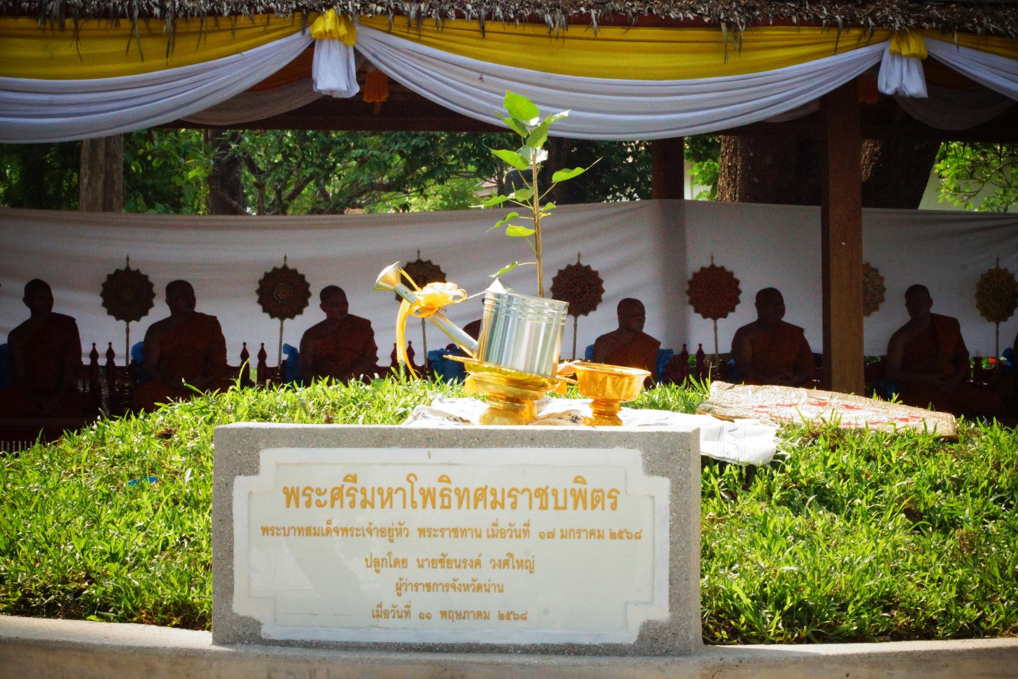 พช.น่าน ร่วมพิธีปลูก “พระศรีมหาโพธิทศมราชบพิตร” ณ วัดพระธาตุแช่แห้ง พระอารามหลวง สร้างสิริมงคลให้แผ่นดินน่าน