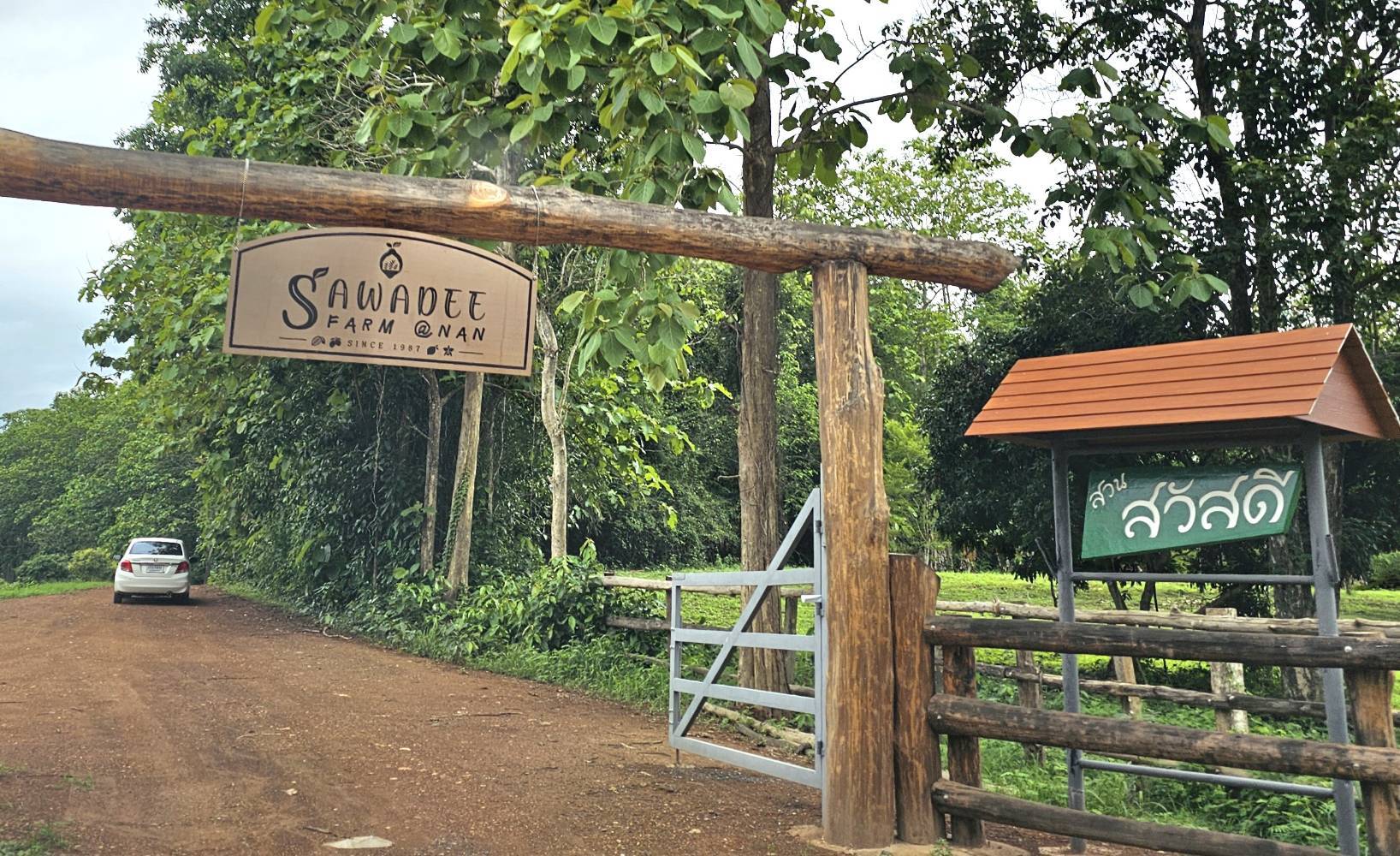 หอการค้าน่าน – บริษัทประชารัฐฯ จับมือช่วยเหลือเกษตรกรผู้ปลูกมะม่วง สร้างมูลค่าเพิ่มผ่านการแปรรูปเป็นของฝากประจำจังหวัด