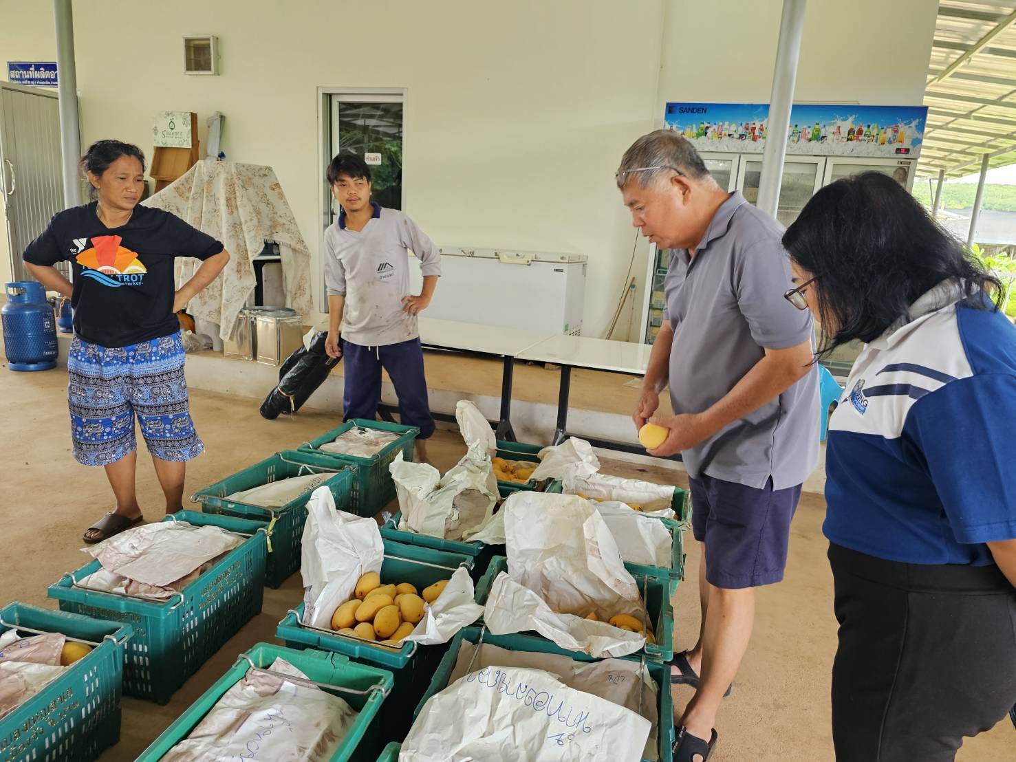 หอการค้าน่าน – บริษัทประชารัฐฯ จับมือช่วยเหลือเกษตรกรผู้ปลูกมะม่วง สร้างมูลค่าเพิ่มผ่านการแปรรูปเป็นของฝากประจำจังหวัด