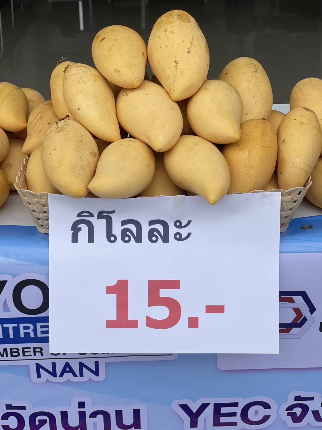 หอการค้าน่าน – บริษัทประชารัฐฯ จับมือช่วยเหลือเกษตรกรผู้ปลูกมะม่วง สร้างมูลค่าเพิ่มผ่านการแปรรูปเป็นของฝากประจำจังหวัด