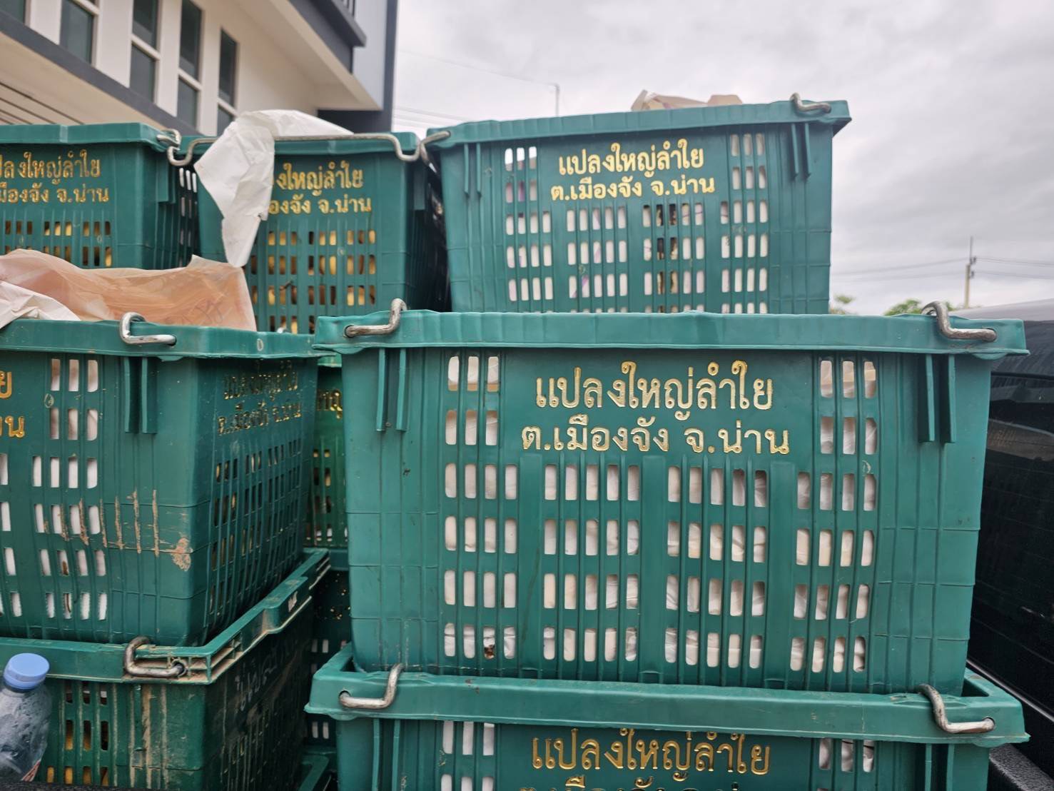 หอการค้าน่าน – บริษัทประชารัฐฯ จับมือช่วยเหลือเกษตรกรผู้ปลูกมะม่วง สร้างมูลค่าเพิ่มผ่านการแปรรูปเป็นของฝากประจำจังหวัด