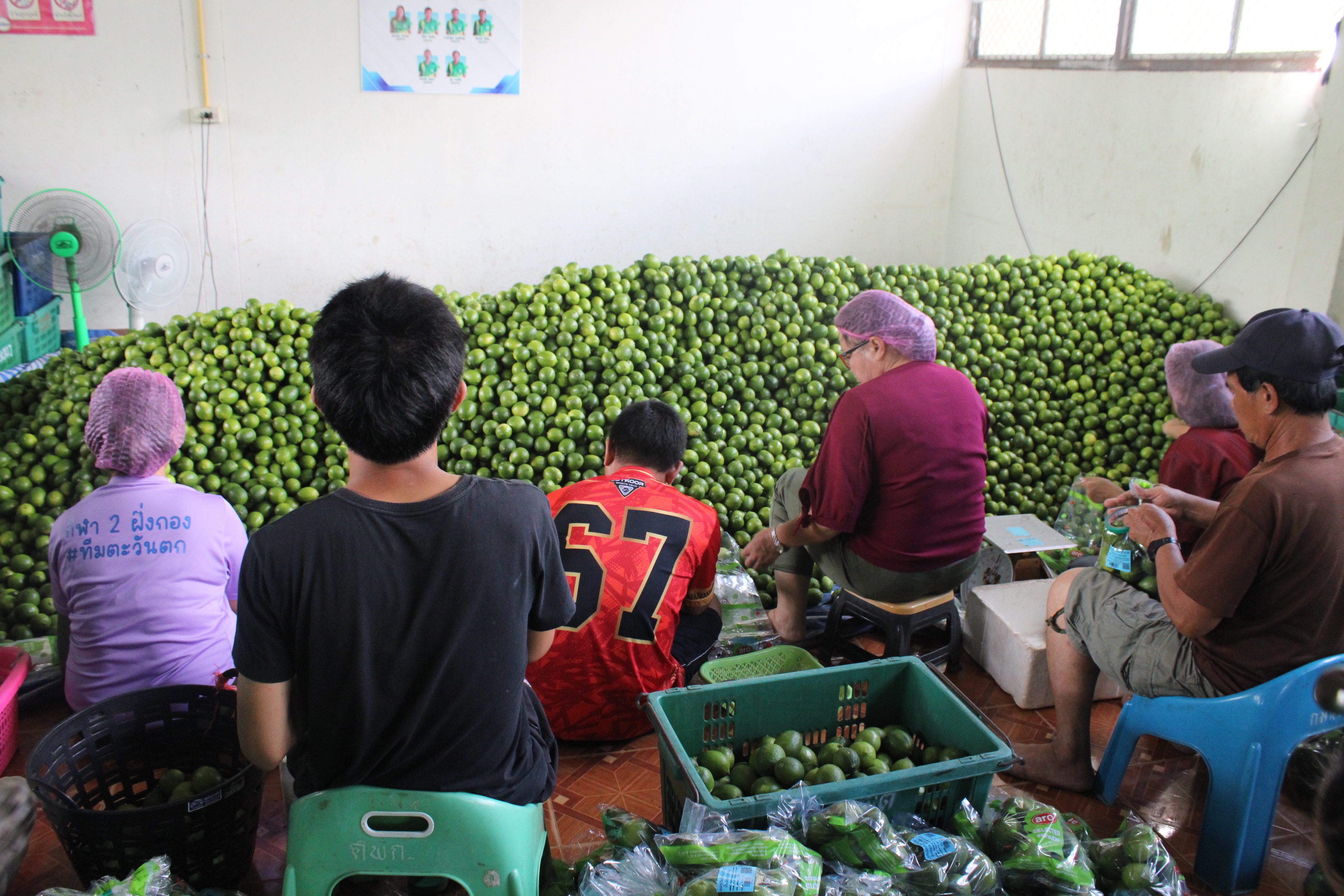 พช.น่าน ลงพื้นที่ติดตามการดำเนินงานกองทุนแม่ของแผ่นดิน บ้านยอด เน้นย้ำการป้องกันยาเสพติด