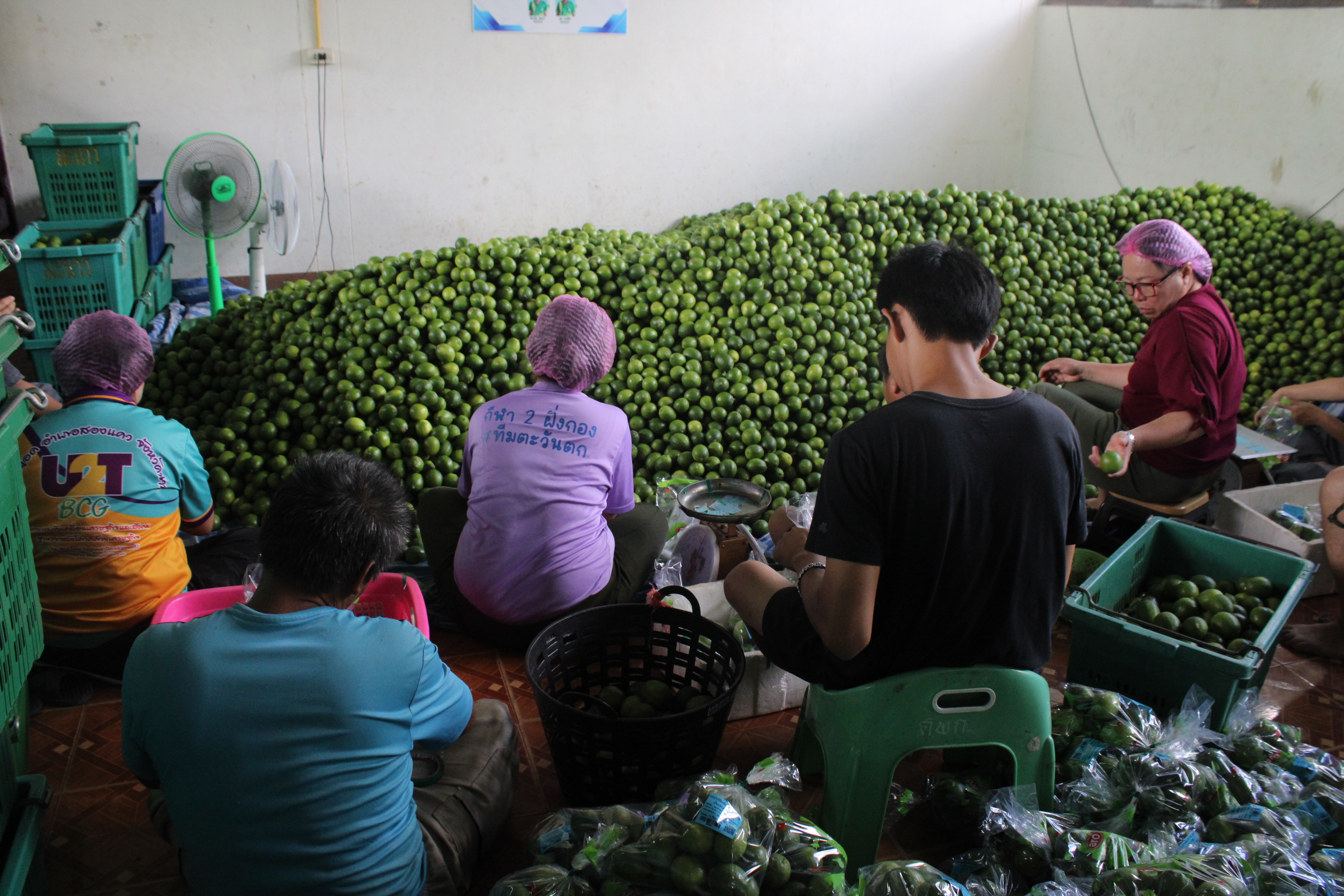 พช.น่าน ลงพื้นที่ติดตามการดำเนินงานกองทุนแม่ของแผ่นดิน บ้านยอด เน้นย้ำการป้องกันยาเสพติด