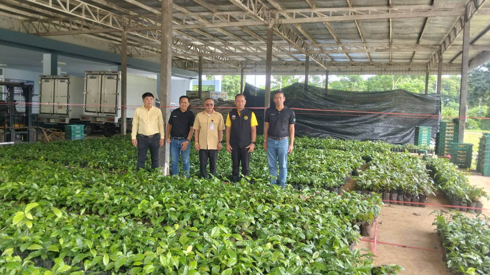 พัฒนาการจังหวัดน่าน เป็นประธานเปิดกิจกรรม “แจกต้นกล้ากาแฟโรบัสต้า ฟื้นฟูป่า สร้างรายได้” ส่งเสริมอาชีพ สร้างความยั่งยืนให้ชุมชน